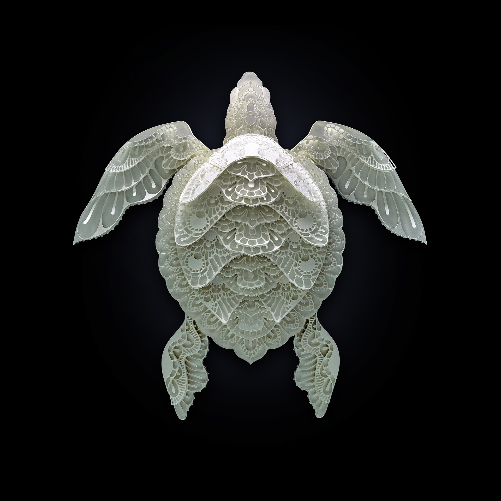 turtle relief paper sculpture