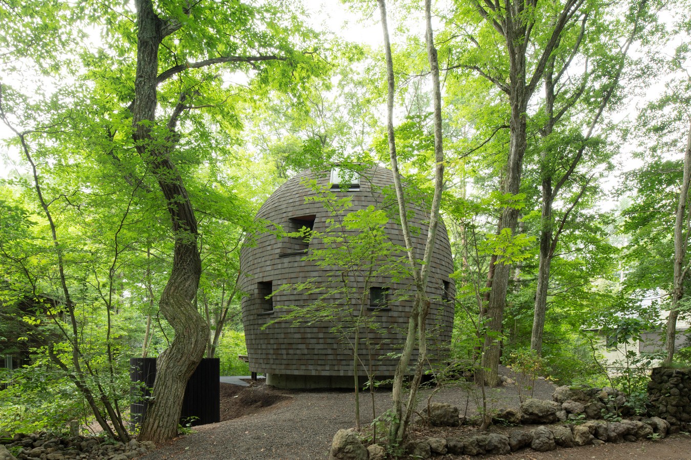 tiny shell house in forest