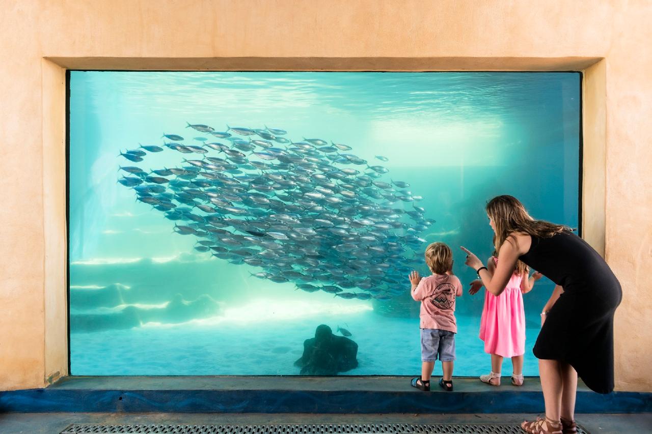 Aquarium of Western Australia