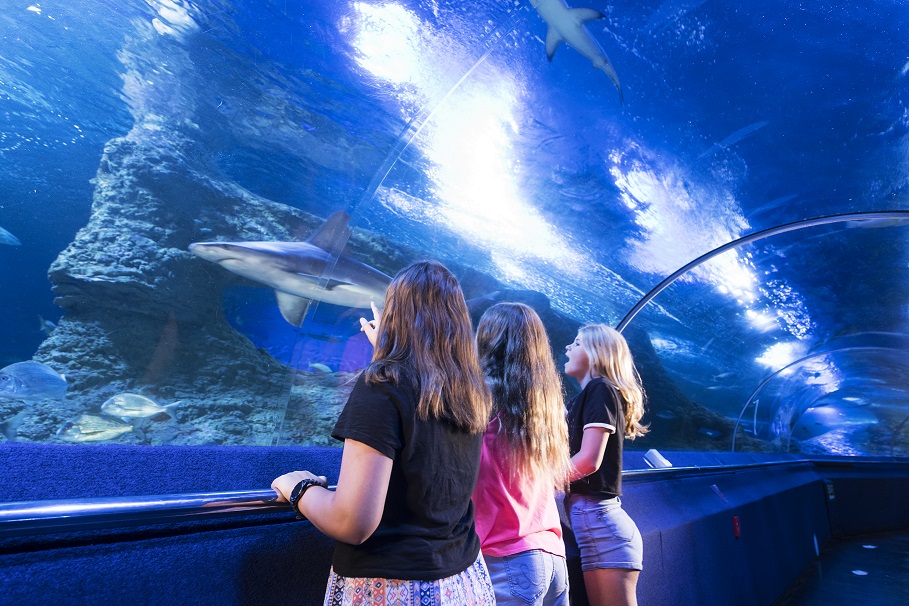 Aquarium of Western Australia