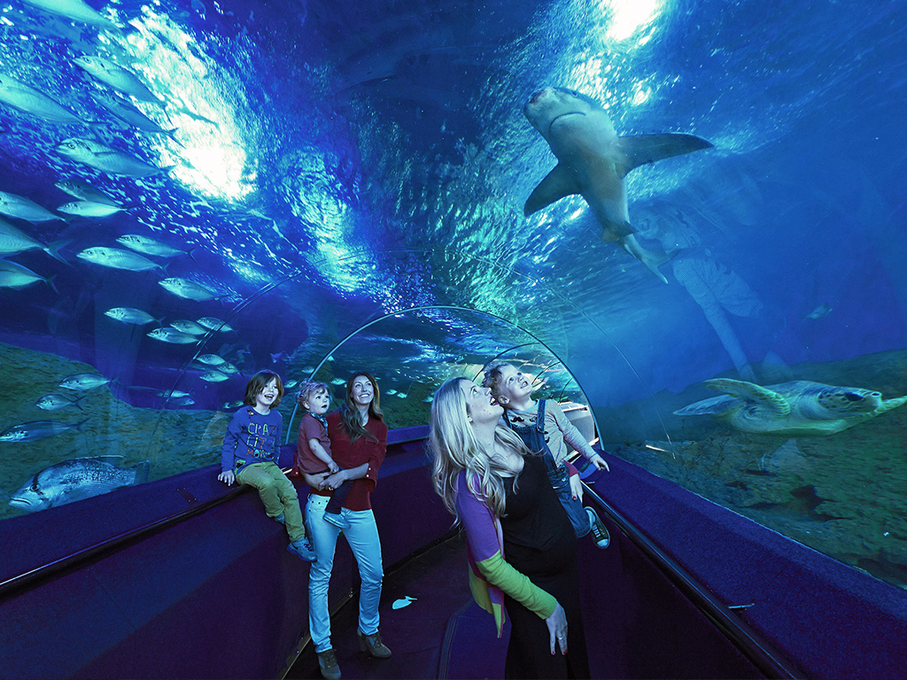 Aquarium of Western Australia