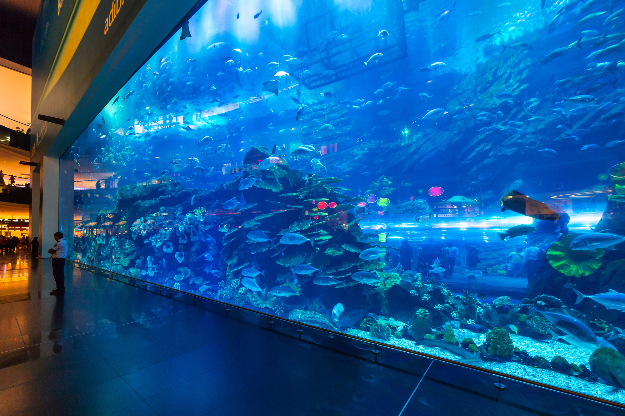 Dubai Mall Aquarium