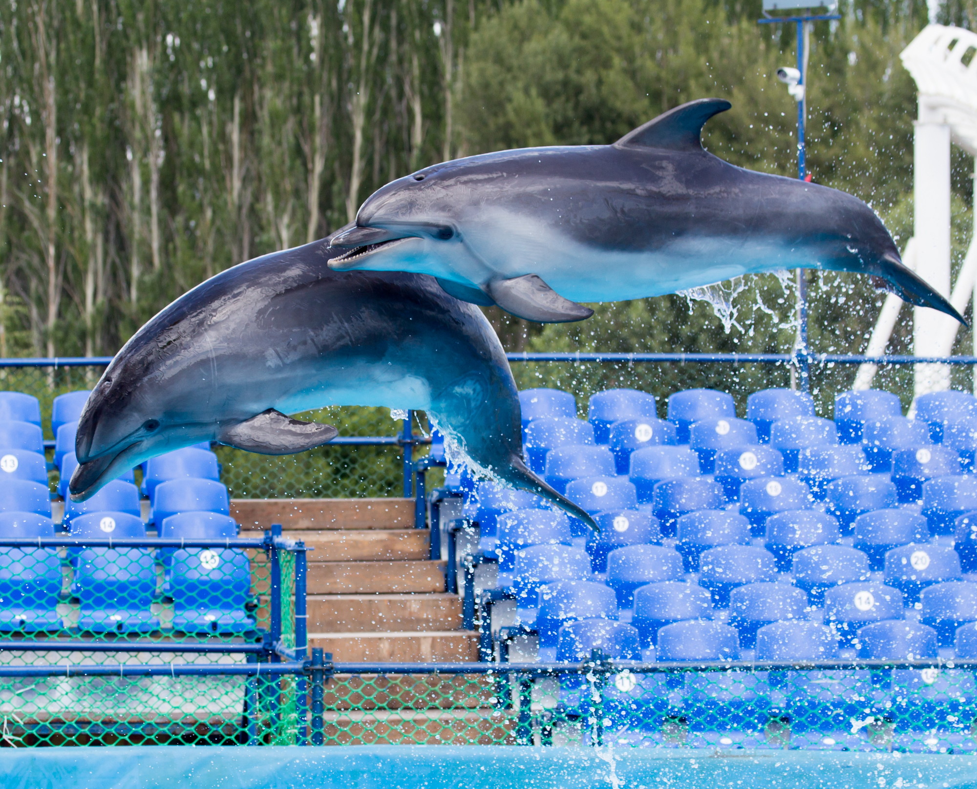 uShaka Marine World