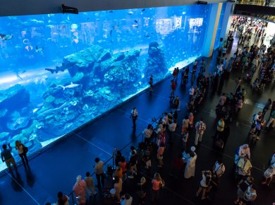 10 Biggest Aquariums in The World