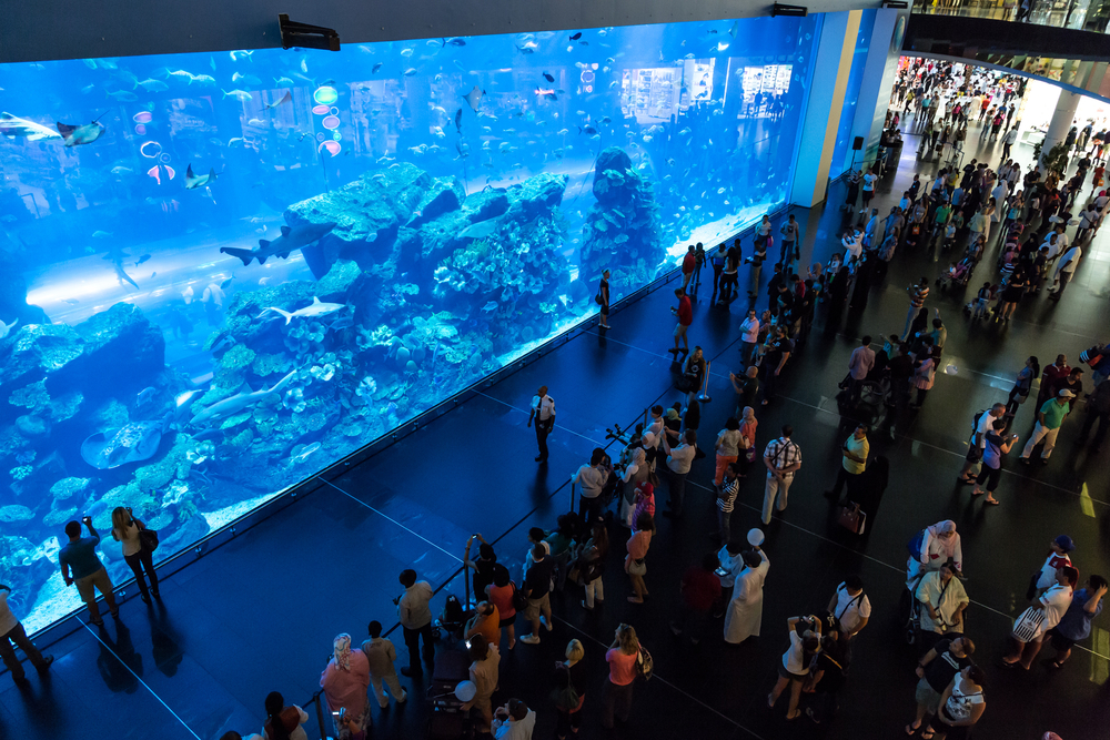Hørehæmmet rille Tangle Top 10 Biggest Aquariums in The World - 2022