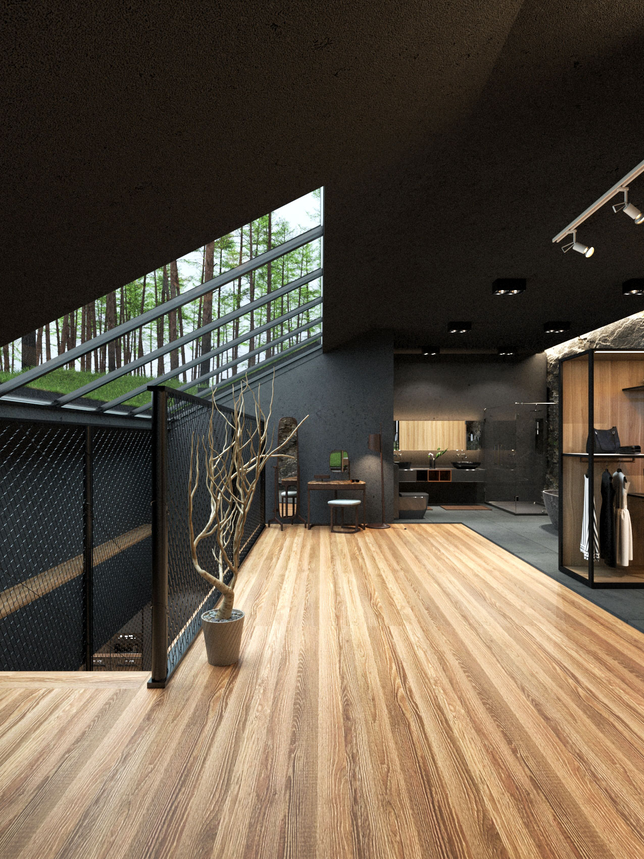 homes with matte black walls