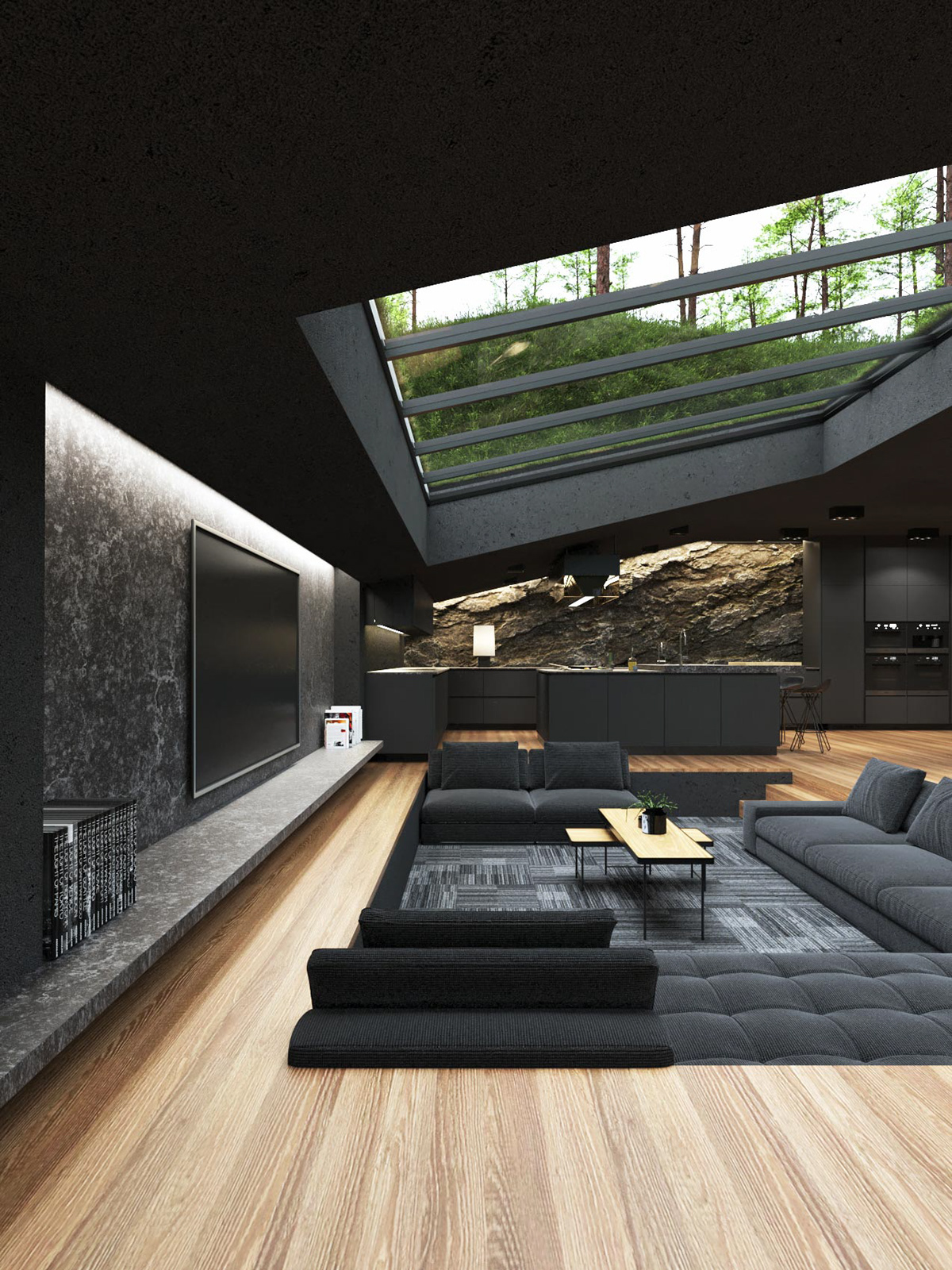 modern house with black interior