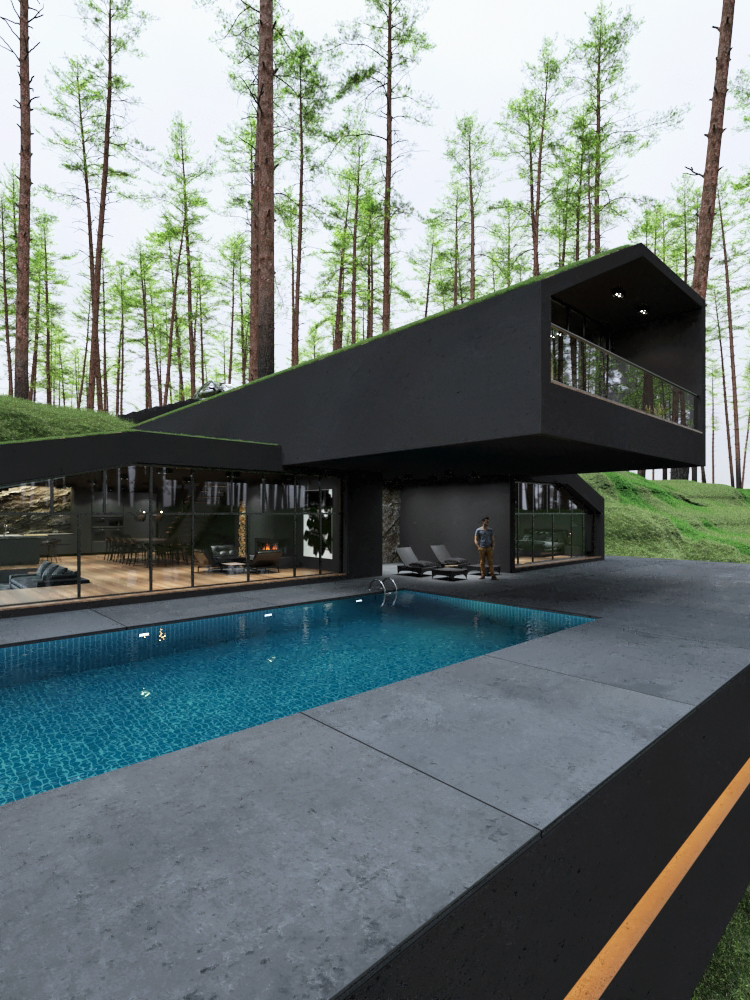 modern house with swimming pool