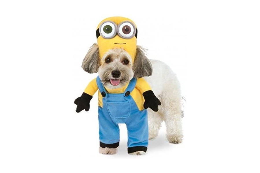 Minion Bob Arms Pet Suit