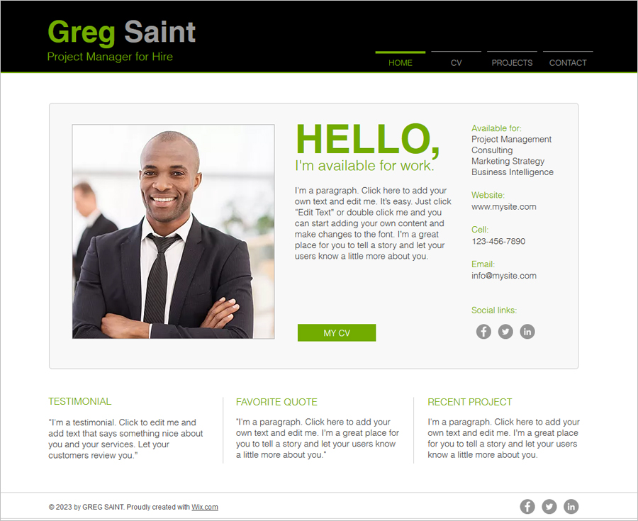 Free Online Resume Website Template