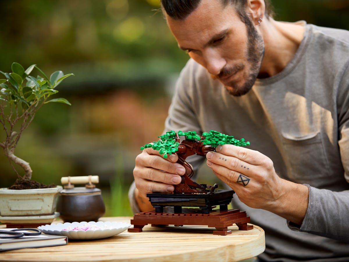 make bonsai tree