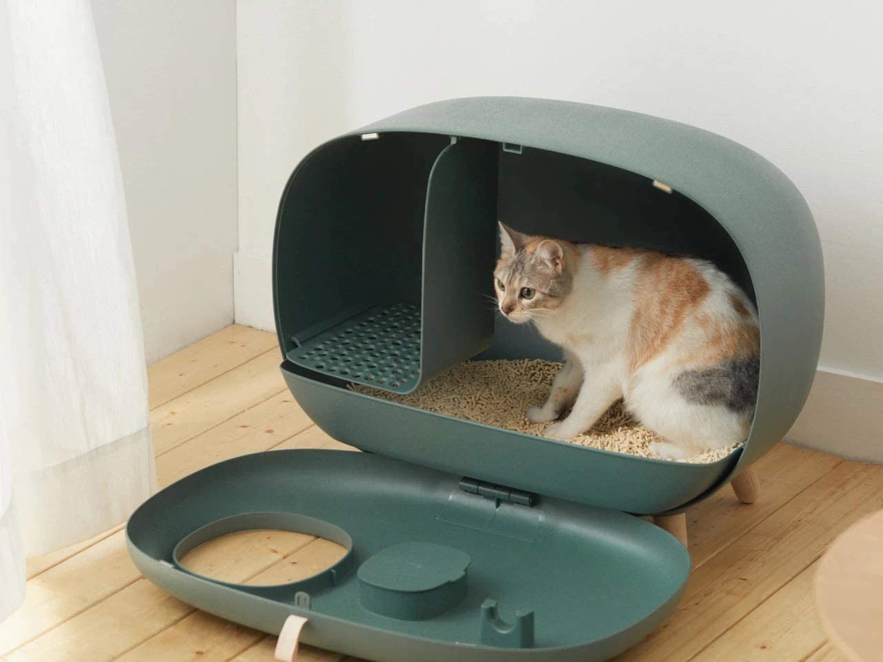 cats litter box