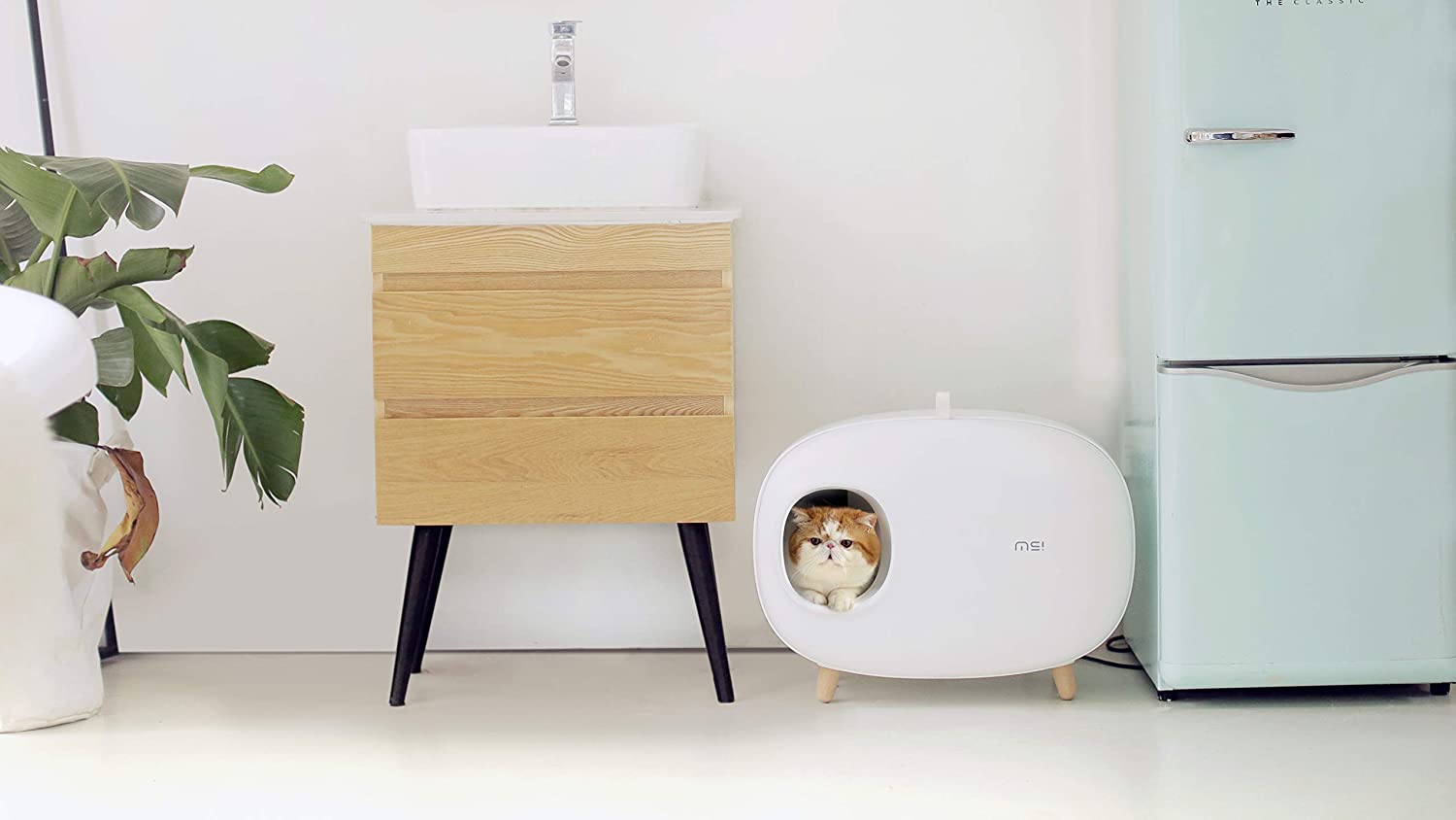 creative litter box