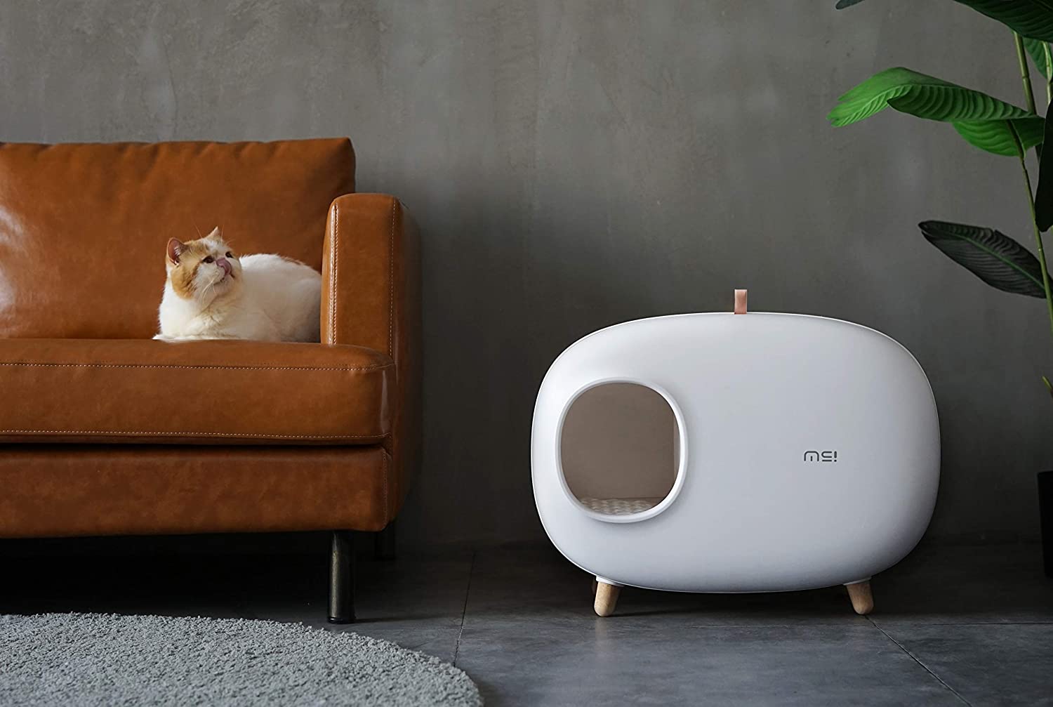 modern litter box for cats