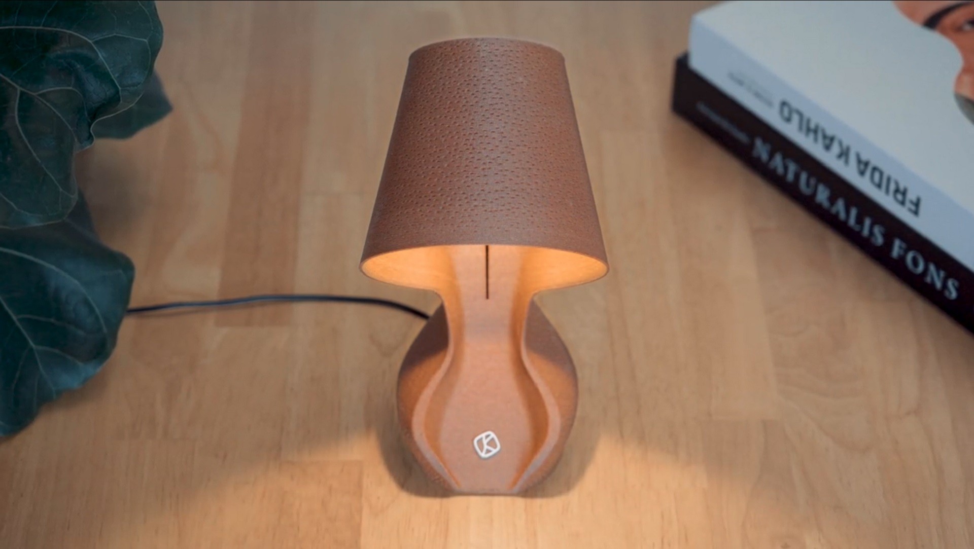 organic desk lamp