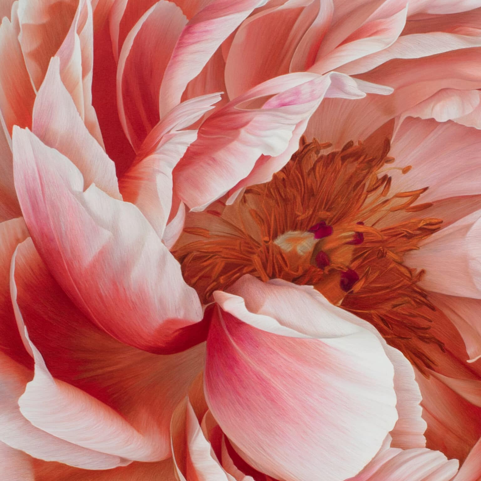 hyperrealistic flowers