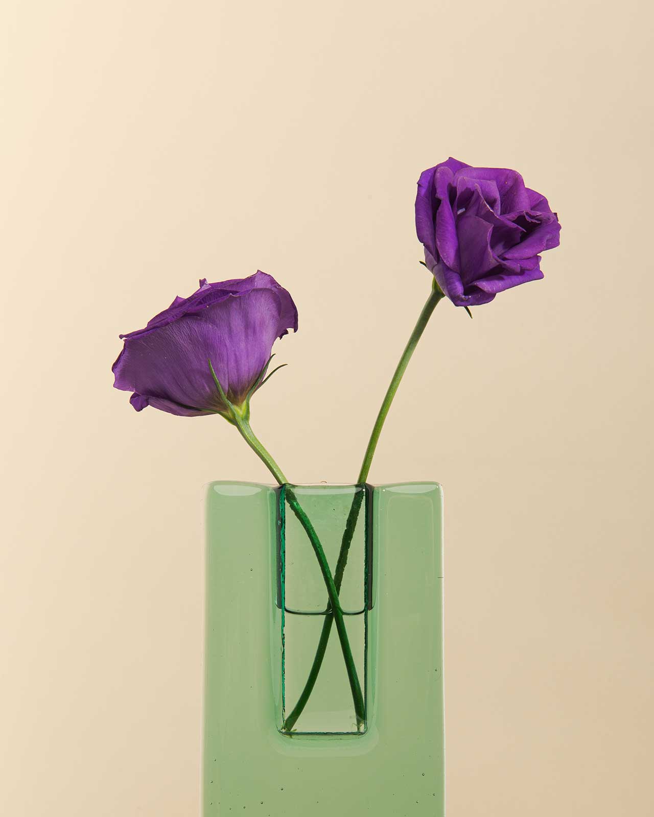 modern vases