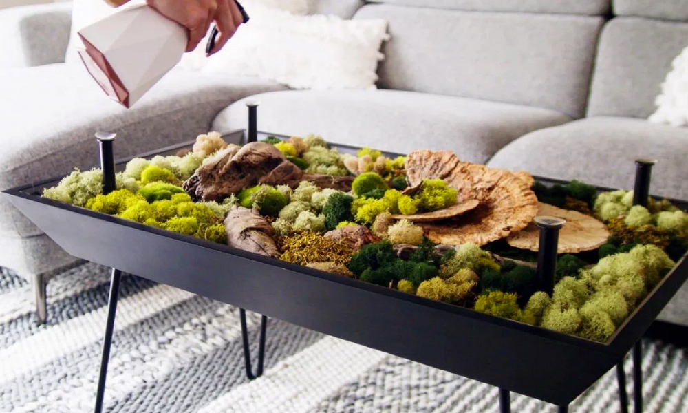 creative coffee table