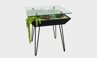 Coffee Table as Indoor Garden by BloomingTables