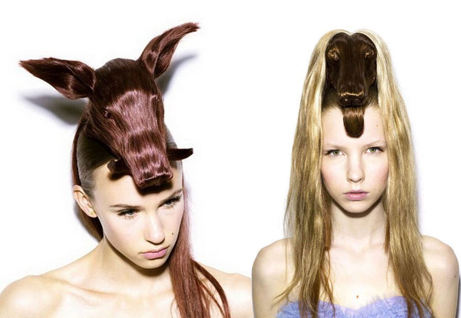 Animal Hair Ideas