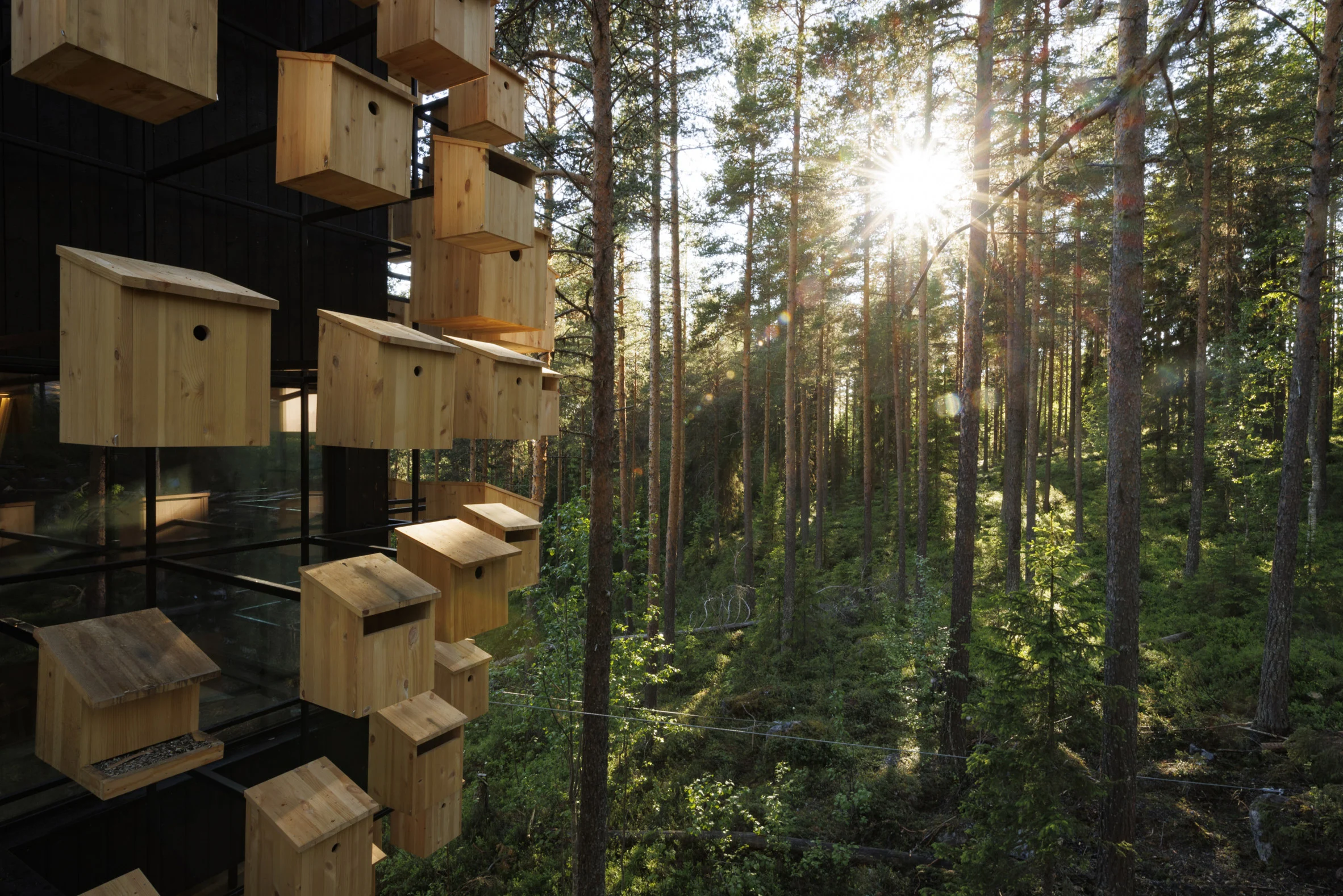 350 Bird Houses Cover This Suspended Hotel Room in a Swedish Forest