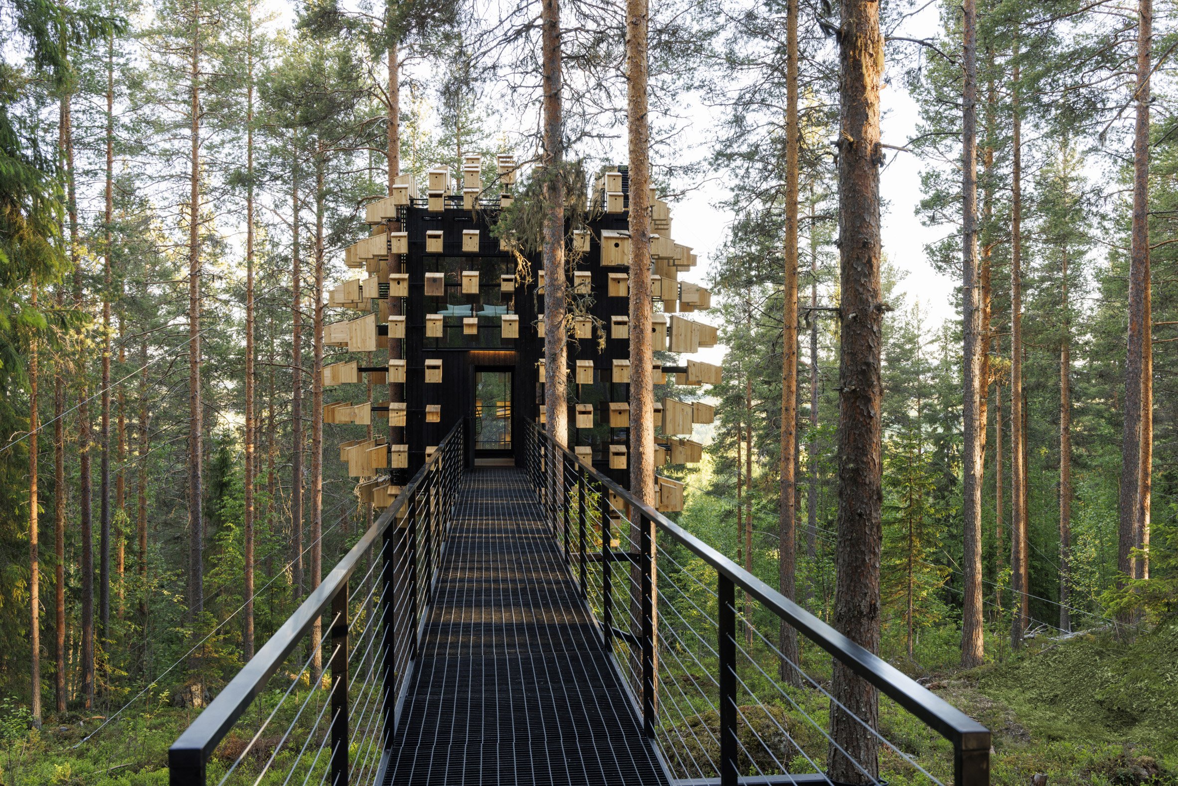 350 Bird Houses Cover This Suspended Hotel Room in a Swedish Forest