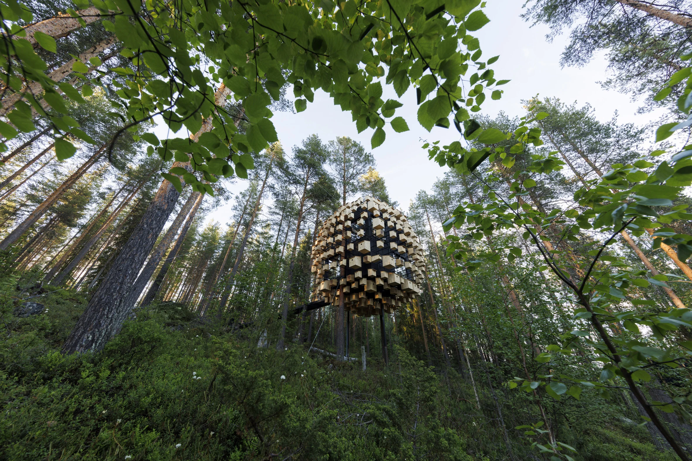 350 Bird Houses Cover This Suspended Hotel Room in a Swedish Forest