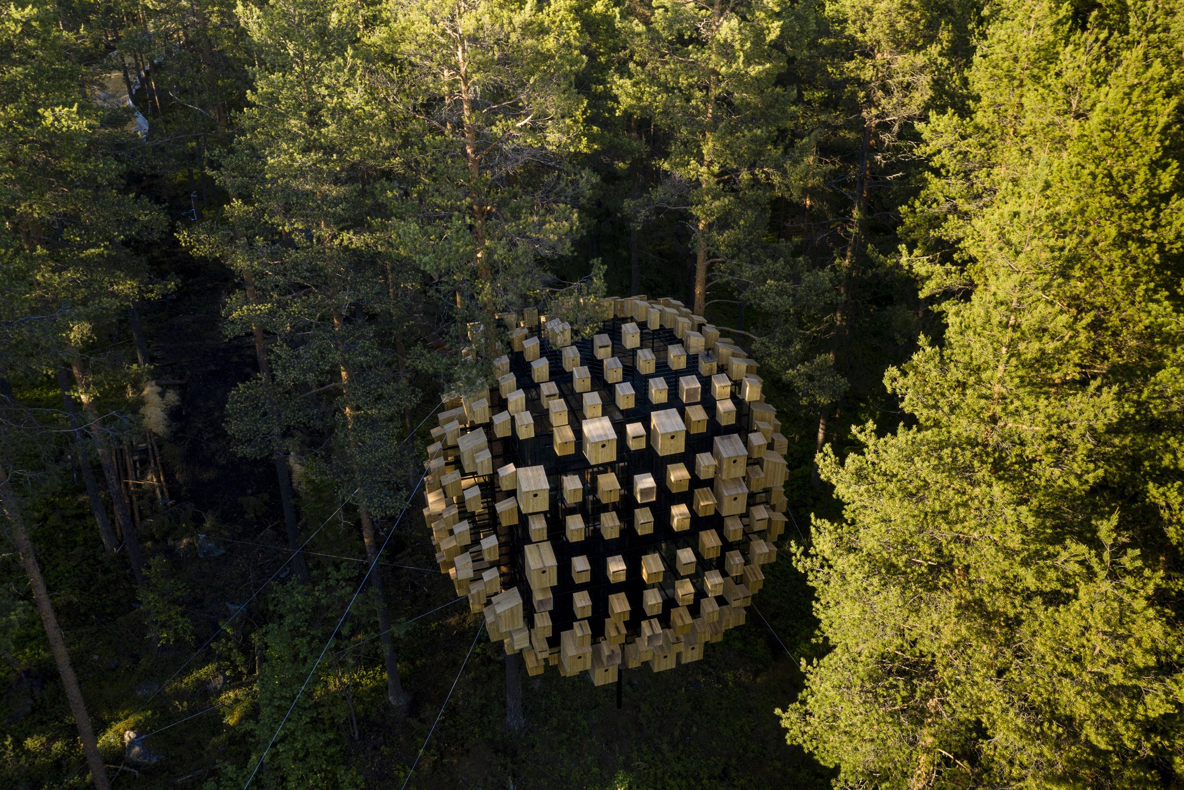 350 Bird Houses Cover This Suspended Hotel Room in a Swedish Forest