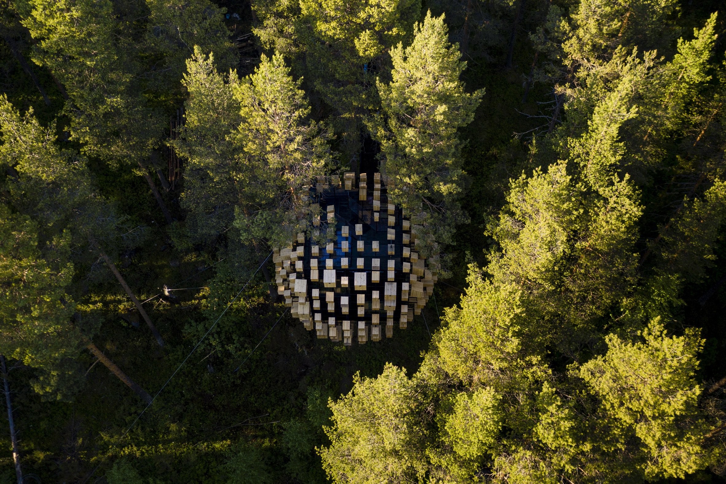 350 Bird Houses Cover This Suspended Hotel Room in a Swedish Forest