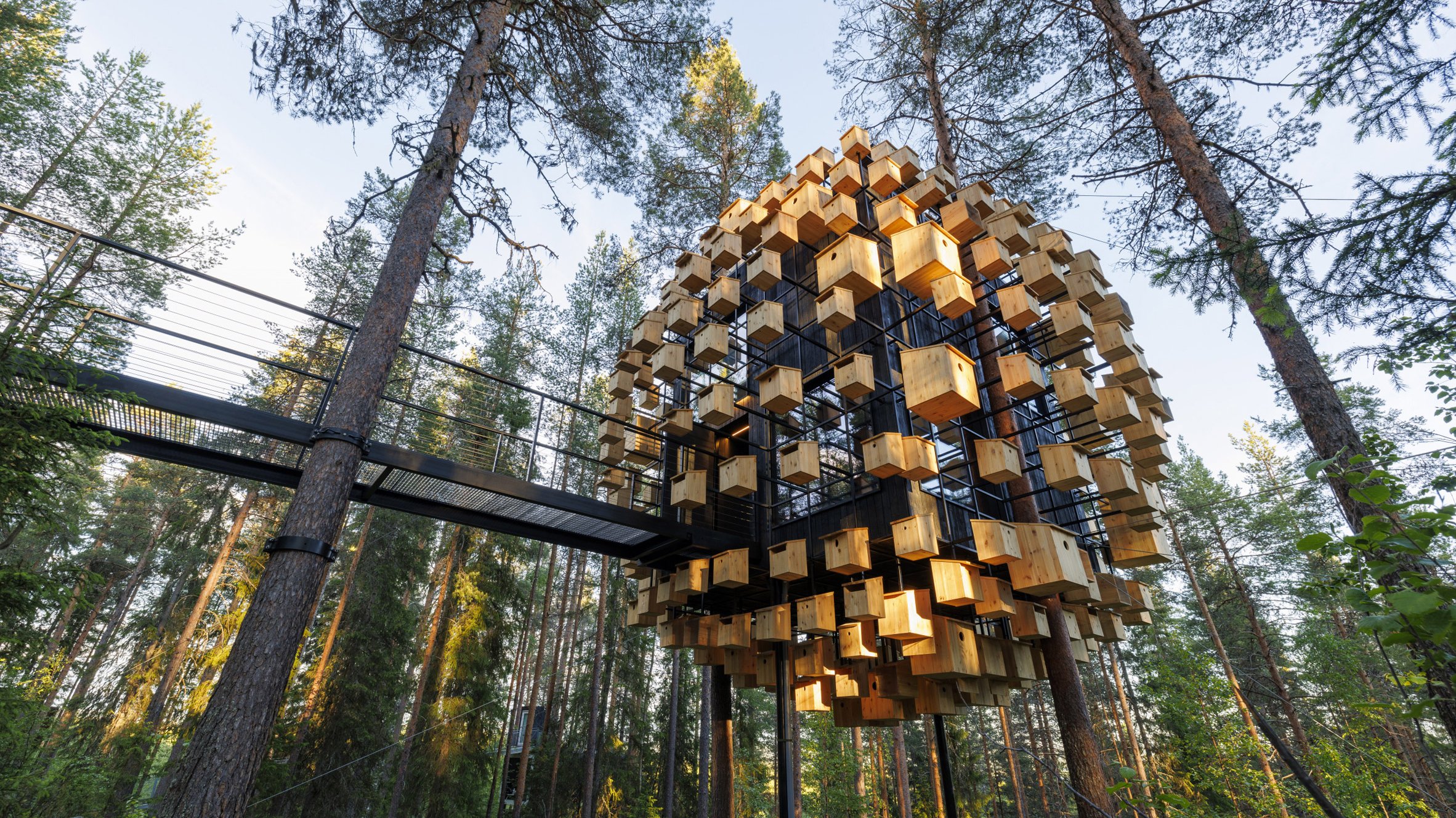 350 Bird Houses Cover a Hotel Room in a Swedish Forest