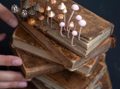 Ecosystems of Fungi and Coral Inhabit Vintage Books