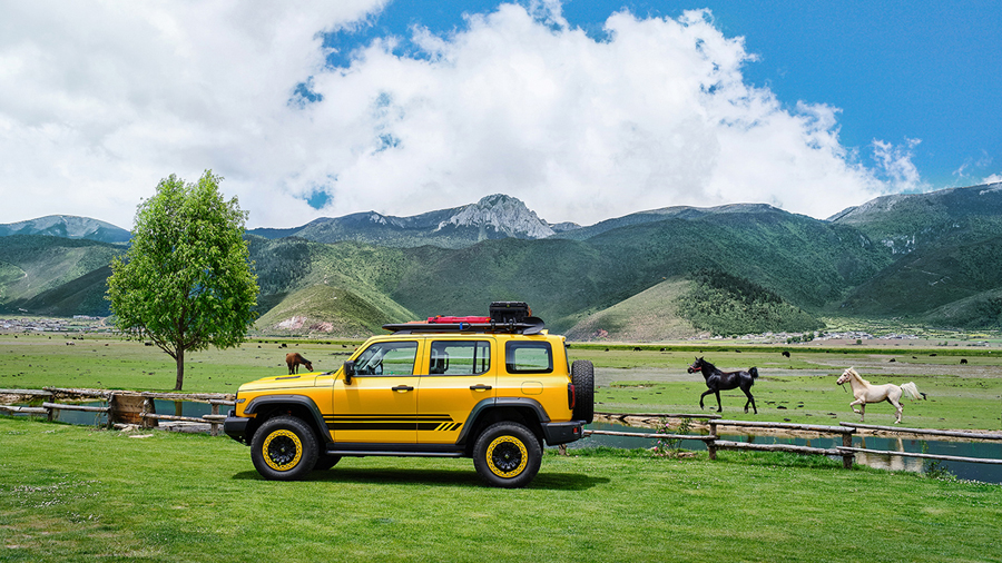 Tank 300 Frontier Edition Paired with an Off-Road E-Bike