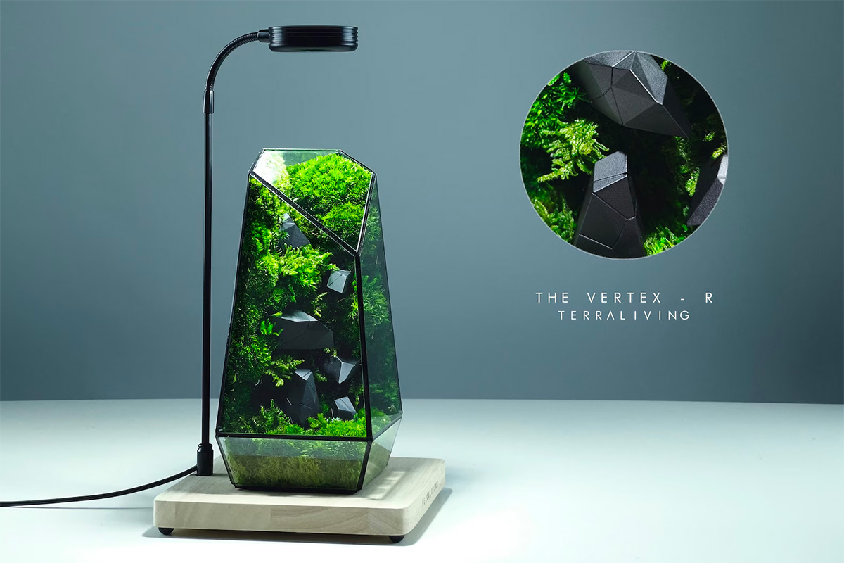 Maintenance-free Moss Terrariums by TerraLiving