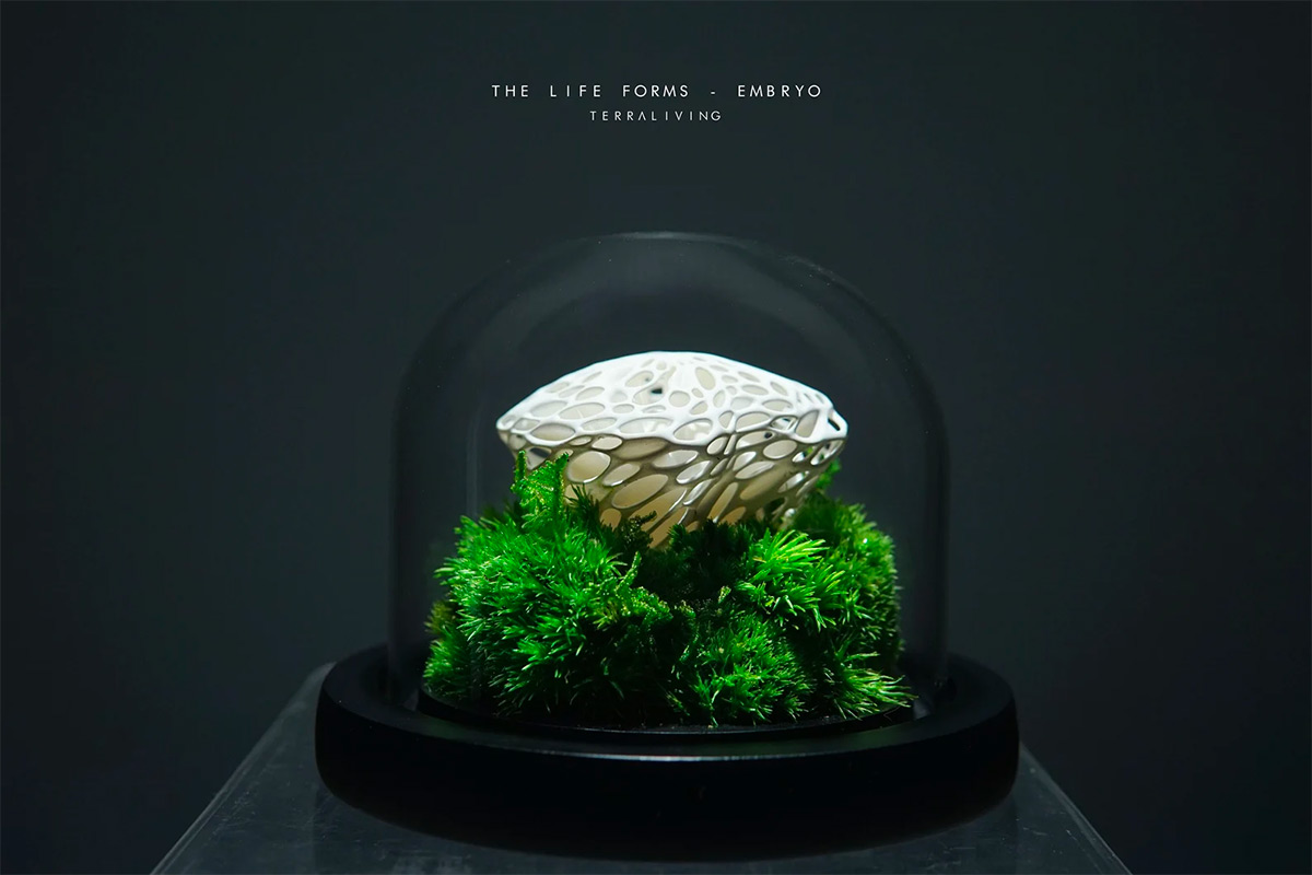 Maintenance-free Moss Terrariums by TerraLiving