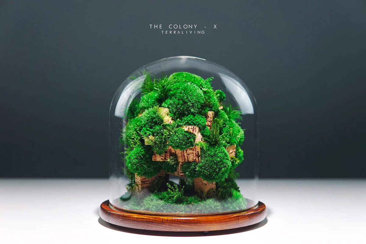 Maintenance-free Moss Terrariums by TerraLiving