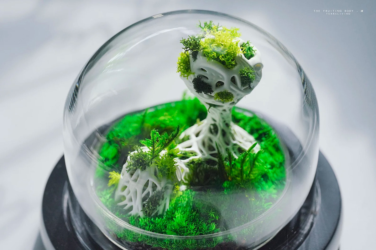 Maintenance-free Moss Terrariums by TerraLiving