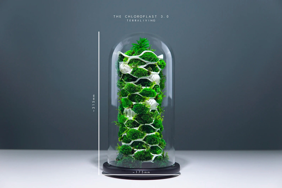 Maintenance-free Moss Terrariums by TerraLiving