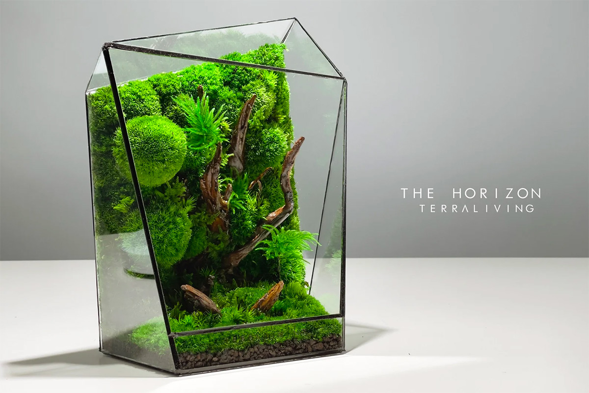 Maintenance-free Moss Terrariums by TerraLiving