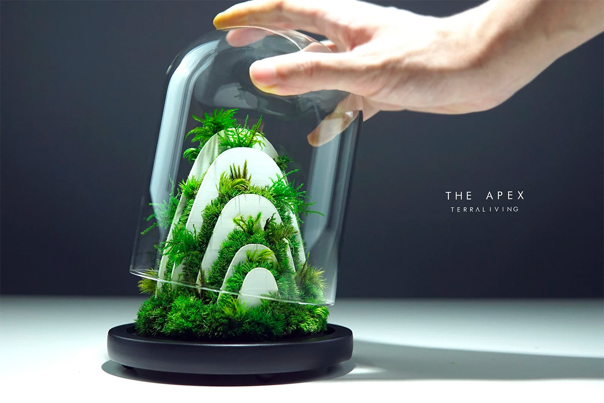 Maintenance-free Moss Terrariums by TerraLiving