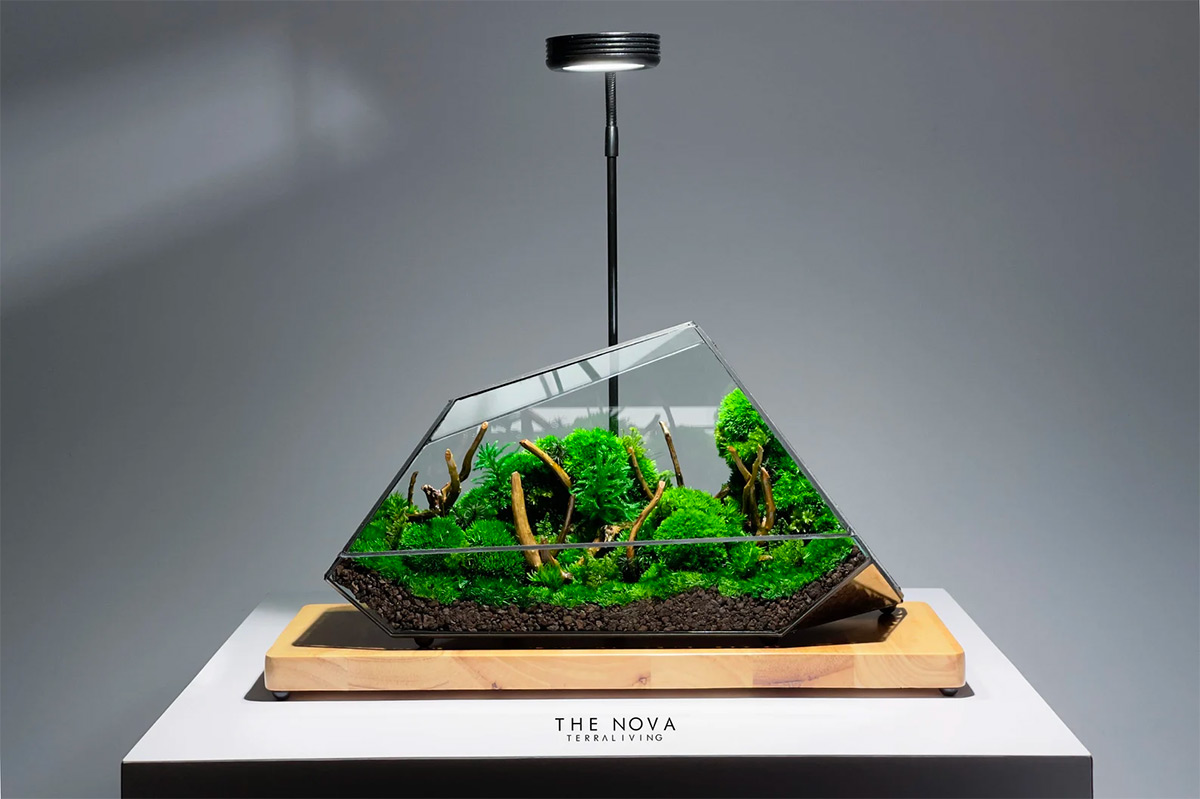 Maintenance-free Moss Terrariums by TerraLiving