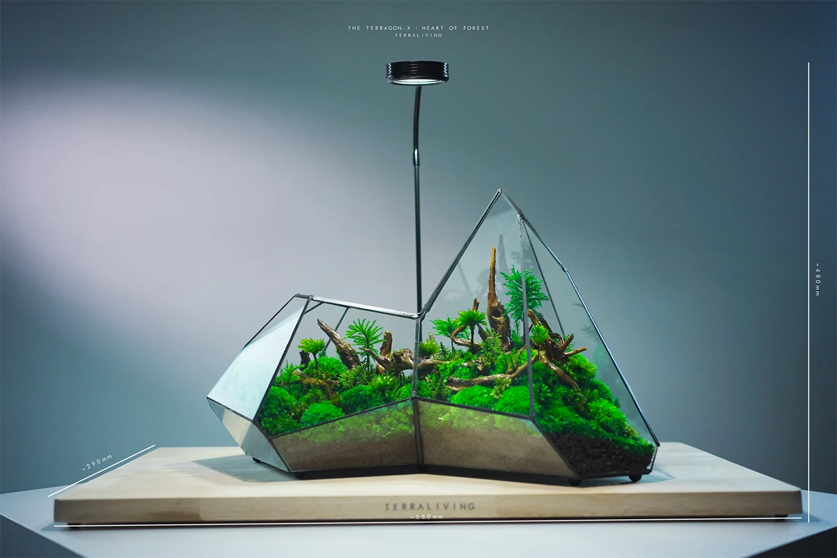 Maintenance-free Moss Terrariums by TerraLiving