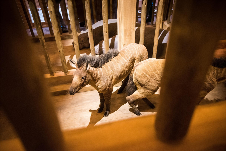 Ark Encounter Kentucky photos