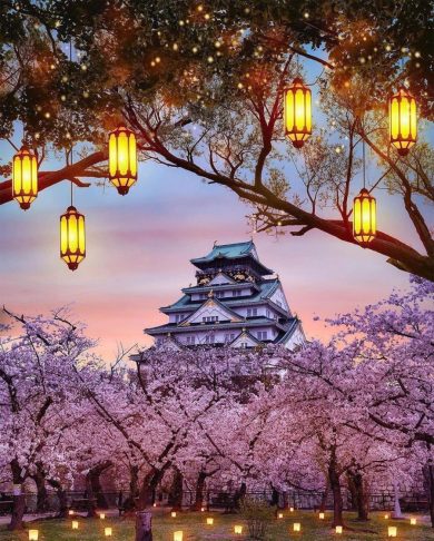 10 Must Visit Places to Capture the Essence of Japan