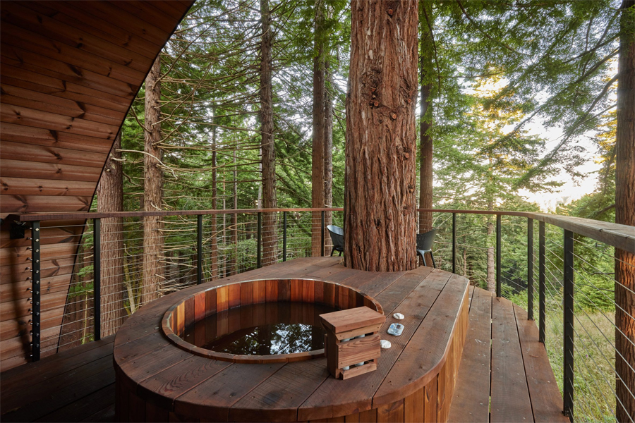 Forest Fantasia Inside the Spyglass Treehouse Residence