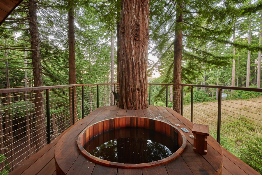 Forest Fantasia Inside the Spyglass Treehouse Residence