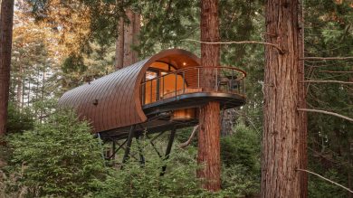 Forest Fantasia Inside the Spyglass Treehouse Residence