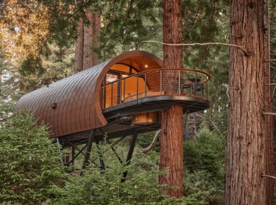 Forest Fantasia Inside the Spyglass Treehouse Residence