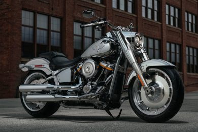 2025 Harley-Davidson Fat Boy Gray Ghost Motorcycle