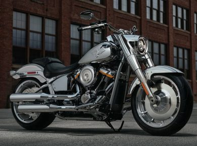 2025 Harley-Davidson Fat Boy Gray Ghost Motorcycle