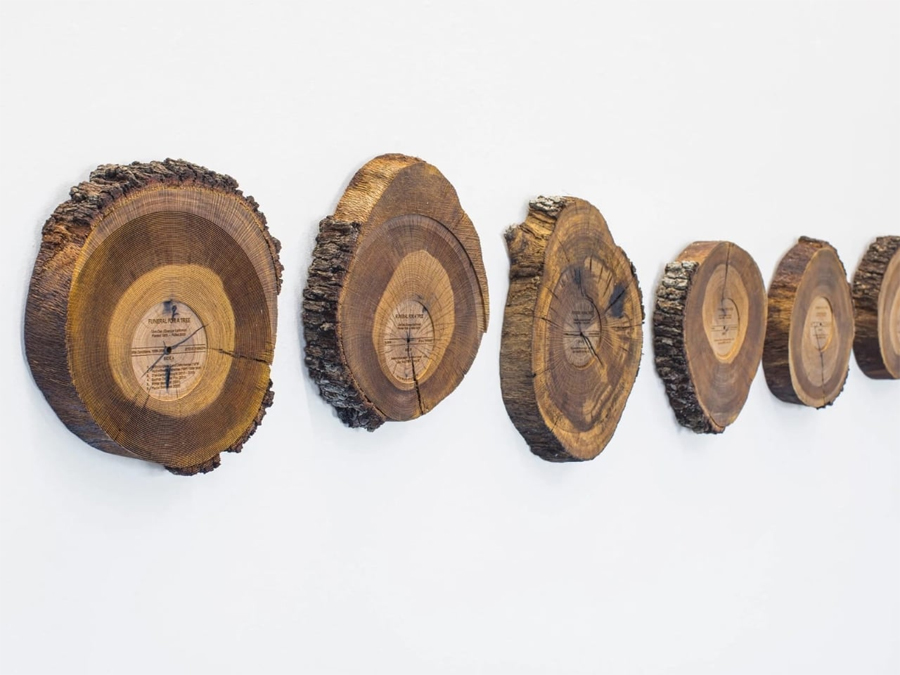 An Artist Turned a Dead Oak into Records of Birdsong
